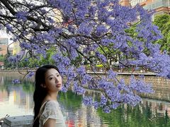 -昆明冠生园·蛋糕·面包(南强街店)