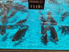 -艳阳天·非遗楚菜(武汉客厅店)