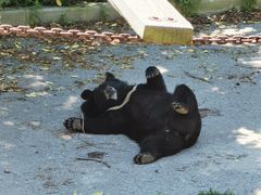 -大连森林动物园