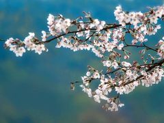 -贵阳市花溪国家城市湿地公园