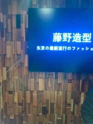 点击看大图 -藤野造型