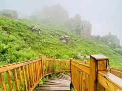 -白草畔自然风景区