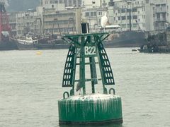 -澳门环岛游湾仔码头