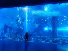 -波塞冬海底世界