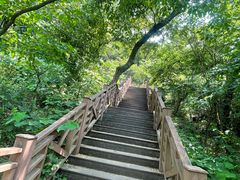 -南京老山国家森林公园