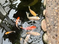 -上海大自然野生昆虫馆(东方明珠·爬宠昆虫探索中心)