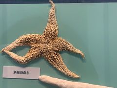 -大连自然博物馆