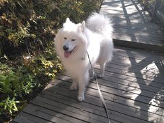 -叠溪松坪沟景区