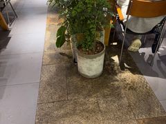 -木屋烧烤(岗顶二店)