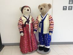 -济州岛泰迪熊博物馆