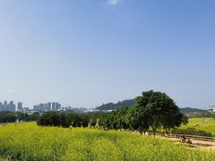 -光明小镇欢乐田园