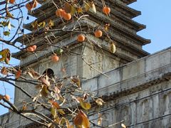 -北京石刻艺术博物馆(五塔寺)