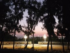 -宝安西湾红树林湿地公园