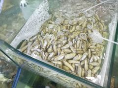 -四海鲜渔家菜(黄金海岸店)