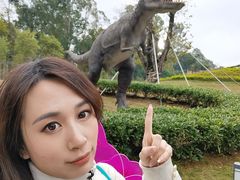 -柳州白莲洞洞穴科学博物馆