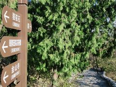 -阳台山自然风景区