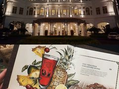 -Long Bar(莱佛士酒店)