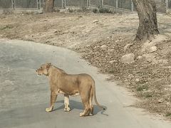 -西安秦岭野生动物园