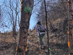 -白草畔自然风景区