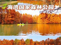 -上海海湾国家森林公园