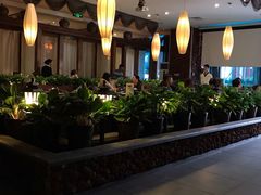 大堂-润泽园椰子鸡(汇一城店)