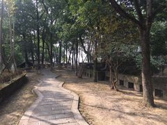 -荣县大佛