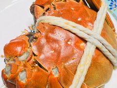 -新光酒家·河豚·海鲜·蟹料理(浦东店)