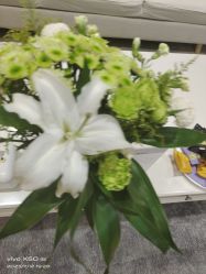 -HEYAN长风荷妍专业脱毛美肤
