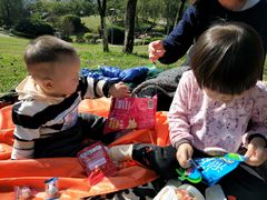 -铁山坪森林公园