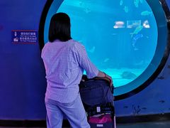 -烟台海昌鲸鲨海洋公园