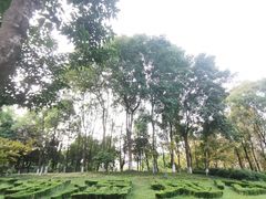 -重庆彩云湖湿地公园