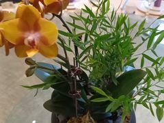 -聚福宝合苑食府(南头镇店)