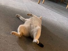 -青沐画室·专业美术培训