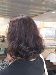 -镁连社·美联社