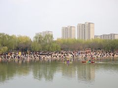 -大兴滨河森林公园