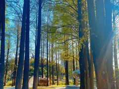 -四海公园(南山区)