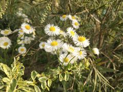 -幕燕滨江·长江观音景区