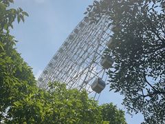 -凤岭儿童公园