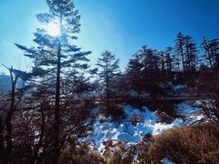 -瓦屋山景区