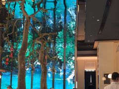 -桂满陇·海市蜃楼·黑金(国金店)