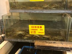 水产区-喜洋洋蟹庄(阳澄湖店)