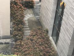 -上海崇明金茂凯悦酒店