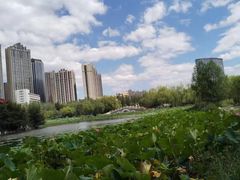 -青城公园