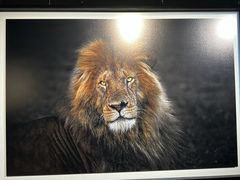 -罗红摄影艺术馆