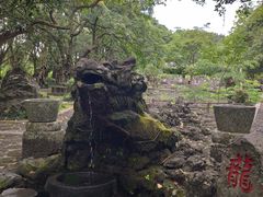 -海口火山口国家地质公园