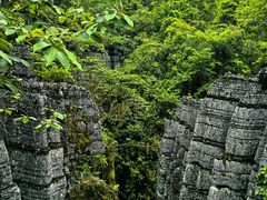 -梭布垭石林景区