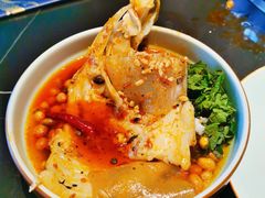 通威花鲢半鱼头-味当家鱼头火锅.•甲鱼料理(金沙店)
