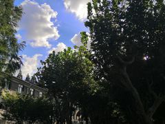 -复旦大学光华楼