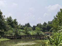 -桤木河湿地公园