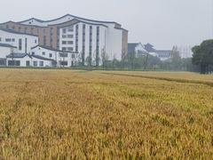 -乌村